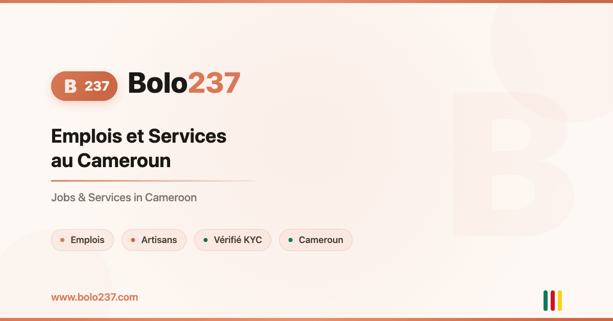 Bolo237 brand visual